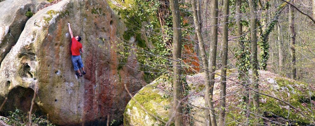 Fontainebleau Sweet Home Luaran gambar